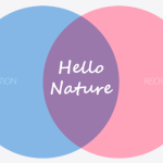 HELLO NATURE COMBO COMPETITION