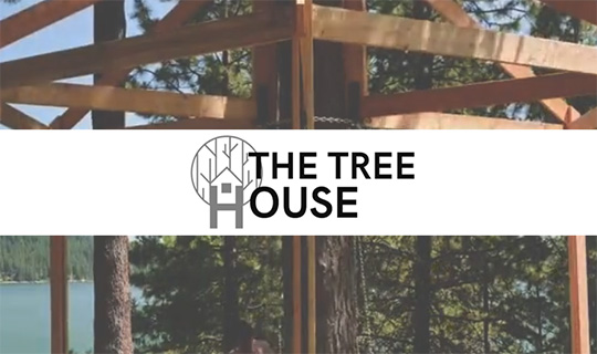 the tree house