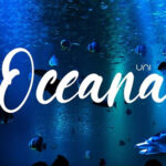 Oceana – Raising awareness through a Marine Center