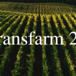Transfarm 2.0 – Challenge to design a farming experience in cities