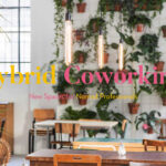 Hybrid Coworking | TerraViva competition