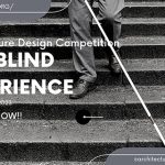 THE BLIND EXPERIENCE