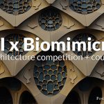 AI x Biomimicry: Competition + Course